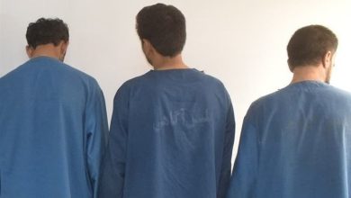 دستگیری سارقان حرفهای و کشف 19 فقره سرقت در بوشهر / اخبار بوشهر - اخبار استانها