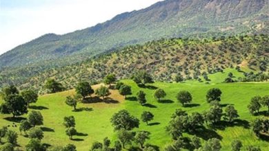 فعالیت تنها یک نیروی ترویج منابع طبیعی برای 90 هزار هکتار اراضی بروجرد / اخبار لرستان - اخبار استانها