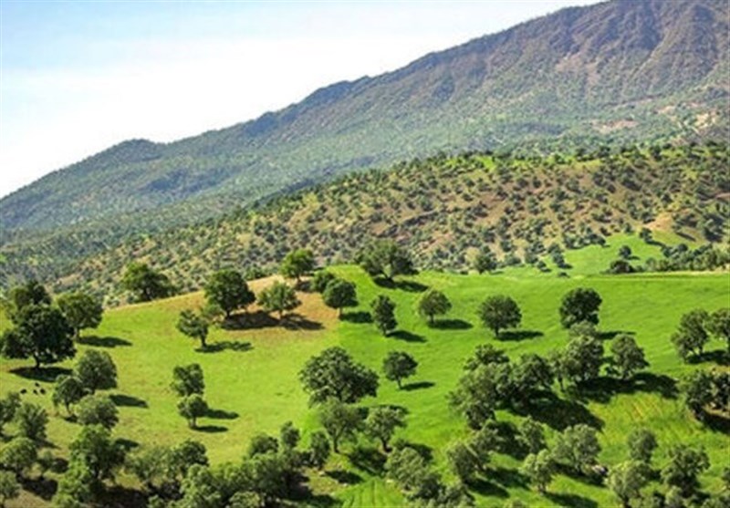 فعالیت تنها یک نیروی ترویج منابع طبیعی برای 90 هزار هکتار اراضی بروجرد / اخبار لرستان - اخبار استانها