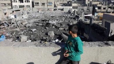 ۷ فلسطینی دیگر در غزه به شهادت رسیدند