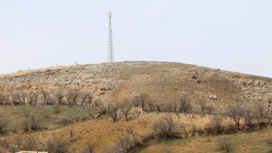 راهکارهای افزایش بهرهوری زمین در شمال کشور: از تمرکزگرایی تا شفافیت در مجوزها / پنجره واحد زمین , توسعه گردشگری , صنعت ساختمان , استفاده از زمین , مجوزهای ساخت