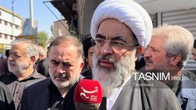 آیتالله فاضل لنکرانی: مردم پشت سر مرجعیت و رهبری محکم بایستند+ فیلم / اخبار قم - اخبار استانها