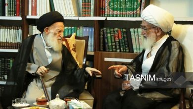 آیتالله نوری همدانی درگذشت آیتالله شبیری زنجانی را تسلیت گفت / اخبار قم - اخبار استانها