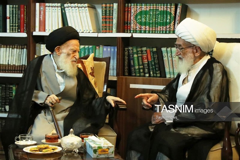 آیتالله نوری همدانی درگذشت آیتالله شبیری زنجانی را تسلیت گفت / اخبار قم - اخبار استانها