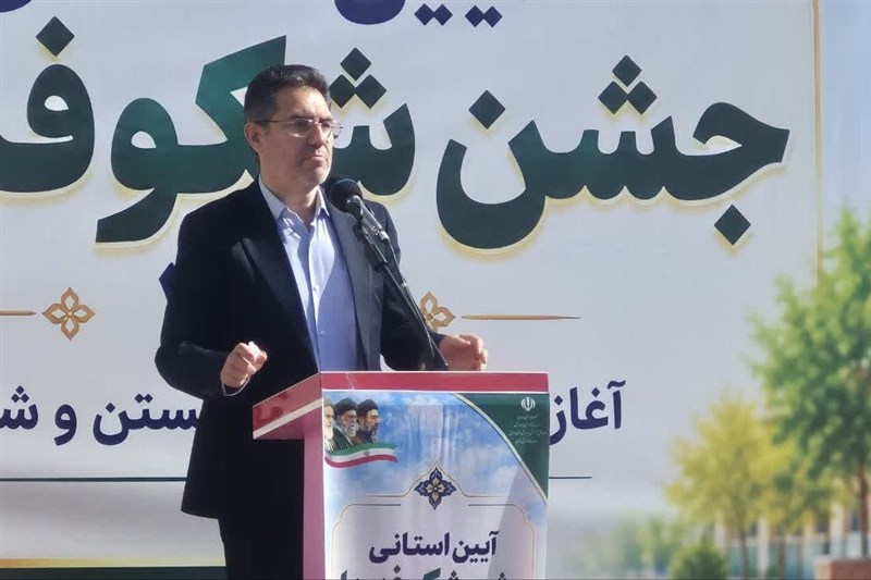 آینده متعلق به قهرمانان کوچک اردبیل است / اخبار اردبیل - اخبار استانها