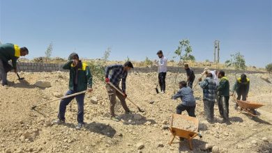 پیشرفت 60 درصدی بام کوهدشت؛ فاز نخست در 5هکتار اجرا میشود / اخبار لرستان - اخبار استانها