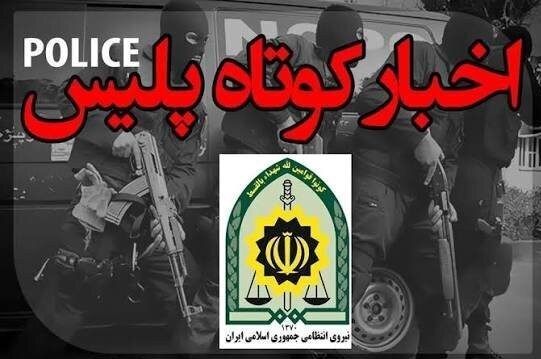 از قتلهای هولناک تا سرقت 50 میلیاردی در فارس / اخبار فارس - اخبار استانها