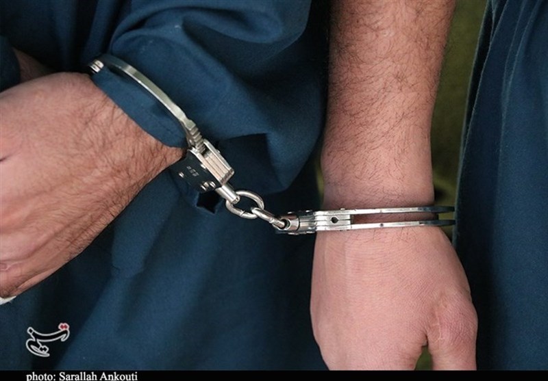 از محموله 350 میلیاردی تا سارقان میلیاردی؛ ضربه سنگین پلیس به مجرمان / اخبار خراسان جنوبی - اخبار استانها