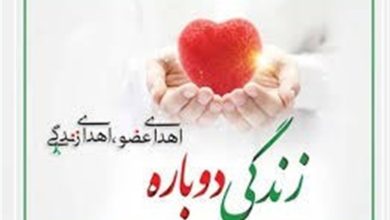 بیستوششمین اهدای عضو سال جاری در یزد به ثبت رسید / اخبار یزد - اخبار استانها