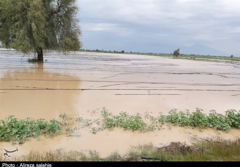 هشدار پیش از بحران؛ هرمزگان برای سناریوهای اقلیمی آماده میشود / اخبار هرمزگان - اخبار استانها