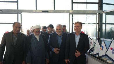 وزیر نیرو وارد عسلویه شد / وزیر نیرو , استان بوشهر , عسلویه , استقبال , مدیران