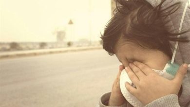 طوفان گردوخاک در سیستان تا پایان هفته میتازد/باد 108 کیلومتری در زابل / اخبار سیستان و بلوچستان - اخبار استانها