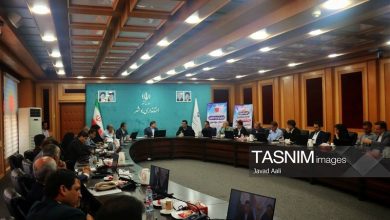 سهم 10 درصدی تعاون در اقتصاد استان بوشهر / اخبار بوشهر - اخبار استانها