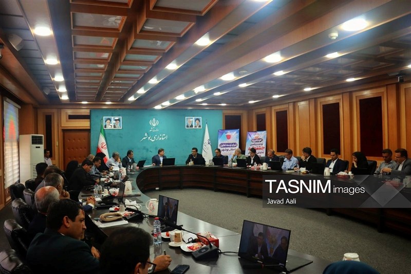 سهم 10 درصدی تعاون در اقتصاد استان بوشهر / اخبار بوشهر - اخبار استانها