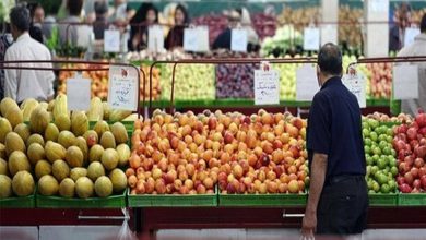 راهاندازی 10 مرکز عرضه مستقیم میوه در یزد برای کاهش قیمتها / اخبار یزد - اخبار استانها