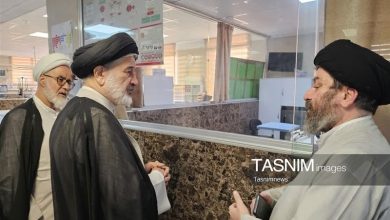 عیادت نماینده رئیسجمهور از آیتالله شبیریزنجانی / اخبار قم - اخبار استانها