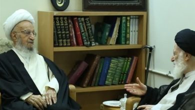 آیتالله مکارم شیرازی درگذشت آیتالله شبیری زنجانی را تسلیت گفت / اخبار قم - اخبار استانها
