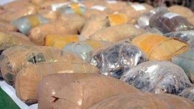 کشف 200 کیلوگرم مواد مخدر در عملیات پلیس بوشهر / اخبار بوشهر - اخبار استانها
