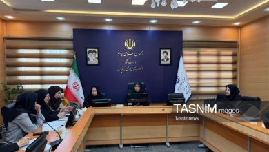 سهم 79 درصدی زنان زنجانی در مشاغل خانگی / اخبار زنجان - اخبار استانها