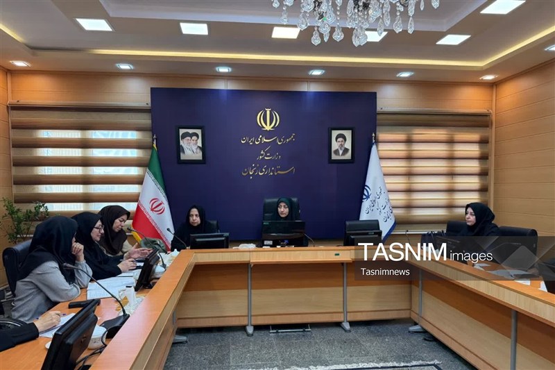 سهم 79 درصدی زنان زنجانی در مشاغل خانگی / اخبار زنجان - اخبار استانها