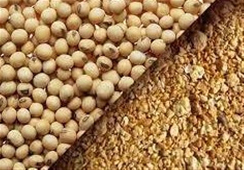 نخستین گواهی تولید محصولات صادراتی منطقه آزاد مازندران صادر شد / اخبار مازندران - اخبار استانها