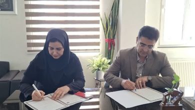 کارگاه تخصصی HSE در مرکز فنی و حرفهای اشتهارد ایجاد میشود / اخبار البرز - اخبار استانها