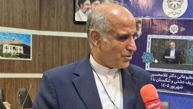 ترخیص کالاهای اساسی در گمرکات به کمتر از 3 روز رسید / اخبار بوشهر - اخبار استانها