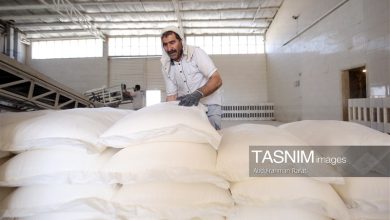 نانواییهای مازندران وارد فاز جدید شدند؛ تولید چند نوع نان در مجتمعها / اخبار مازندران - اخبار استانها