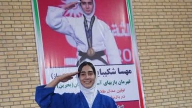 جوانترین عضو کاروان ایران در بازیهای آسیایی ناگویا چه کسی است؟ / اخبار خراسان شمالی - اخبار استانها