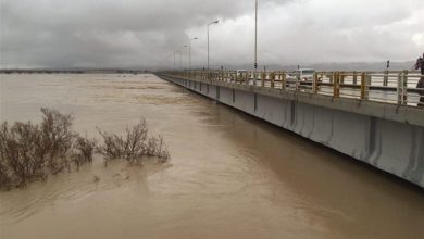 افزایش 40 درصدی بارندگی در استان بوشهر نسبت به میانگین بلندمدت / اخبار بوشهر - اخبار استانها