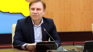 طرحهای پیشران استان بوشهر با مشارکت صندوق توسعه ملی تکمیل میشود / اخبار بوشهر - اخبار استانها
