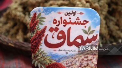 جشنواره سماق؛ وقتی ظرفیتهای ژاورود زیر سایه یک حاشیه فرهنگی قرار گرفت / اخبار کردستان - اخبار استانها