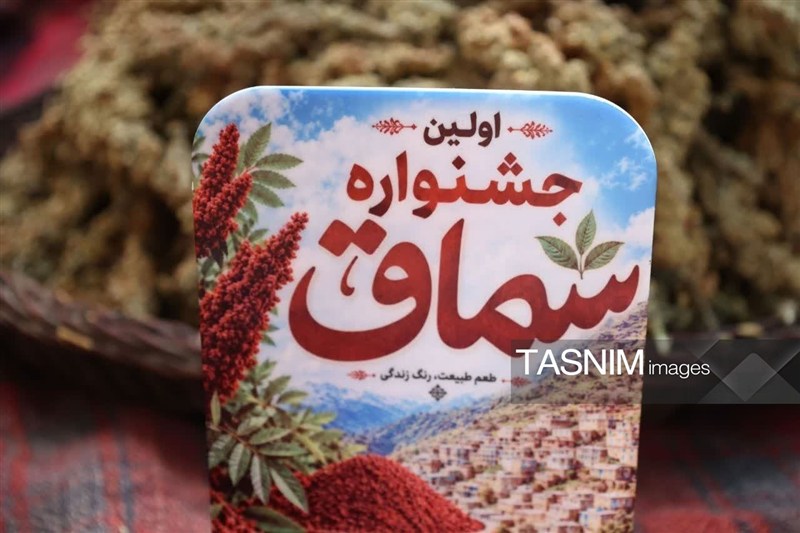 جشنواره سماق؛ وقتی ظرفیتهای ژاورود زیر سایه یک حاشیه فرهنگی قرار گرفت / اخبار کردستان - اخبار استانها