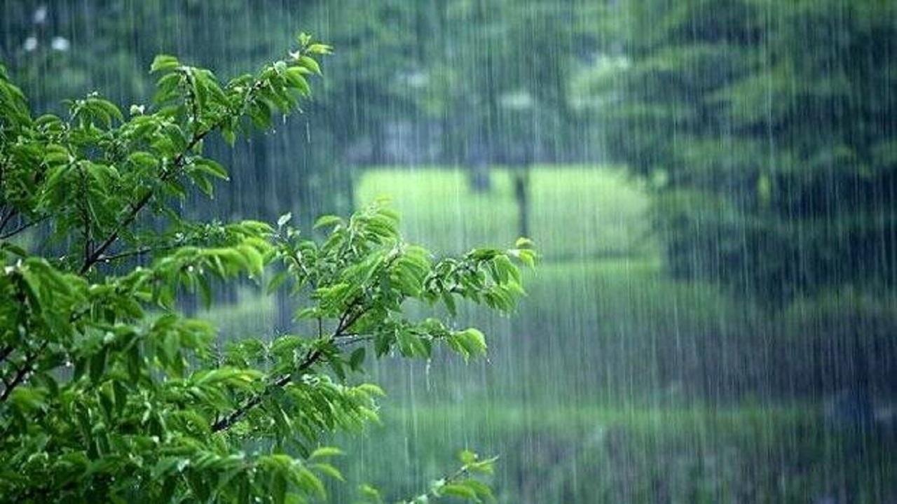 پیشبینی بارشهای پاییزی و اهمیت کشت زودهنگام گندم دیم / کشت گندم دیم , پیشبینی بارش , خشکسالی , کشاورزی پاییزه , مرکز ملی خشکسالی
