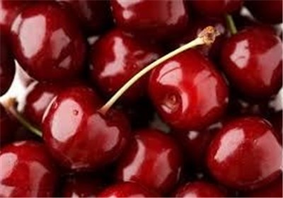 جشنوارهای با طعم گس آلبالو؛ فرصتی برای توسعه گردشگری و اقتصادی ملایر / اخبار همدان - اخبار استانها
