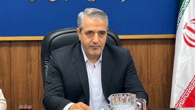 نیروگاه 25 مگاواتی CHP قرچک اردیبهشتماه وارد مدار میشود / اخبار استان تهران - اخبار استانها