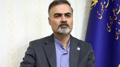رئیس مرکز طب ایرانی: باور به بیضرر بودن گیاهان دارویی اشتباه است / اخبار کرمان - اخبار استانها