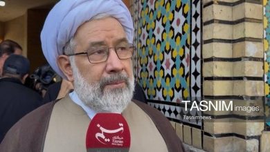 آیتالله شبیری زنجانی پیوند عمیقی با انقلاب و خط ولایت فقیه داشت+فیلم / اخبار قم - اخبار استانها