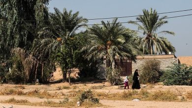 افتتاح پل عنافچه؛ مسیر دسترسی 40 روستا 53 کیلومتر کوتاهتر شد / اخبار خوزستان - اخبار استانها
