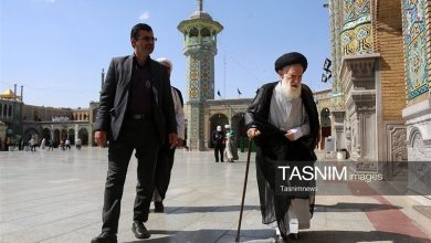 تسلیت جهاددانشگاهی برای درگذشت آیتالله شبیری زنجانی / اخبار سیاسی روز , اخبار حوزه علمیه و دانشگاه