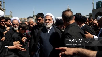 حضور رئیس قوه قضائیه در مراسم تشییع و تدفین آیتالله شبیری زنجانی+ عکس / اخبار قم - اخبار استانها
