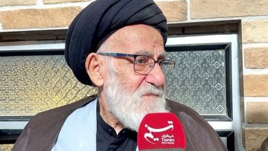 ببینید| روایت برادر از نبوغ علمی آیتالله شبیری زنجانی / اخبار قم - اخبار استانها