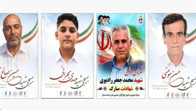 شهادت 4 فرزند برومند بوشهر در حمله جنایتکارانه آمریکا به جنوب کشور / اخبار بوشهر - اخبار استانها