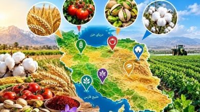 کشاورزی فارس؛ در مسیر جهش تولید با فناوریهای نوین / اخبار فارس - اخبار استانها