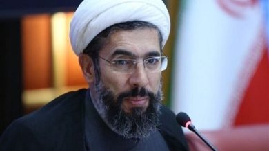 درخواست بررسی سازوکارهای رفع کاهش حقوق مادران پس از زایمان / اخبار سیاسی روز , اخبار دولت