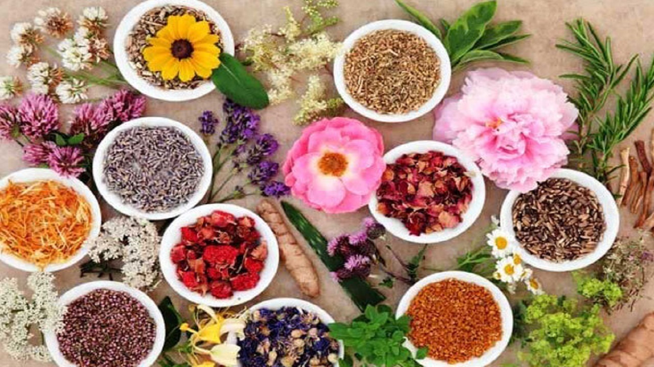 تنها یک صدم درصد اراضی کشاورزی ایران در کشت ارگانیک فعال است / تولید ارگانیک , گیاهان دارویی , کشاورزی ارگانیک , صادرات , اتحادیه گیاهان دارویی