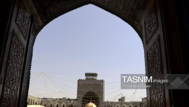 چهارشنبه امامرضایی؛ روایت دلدادگی در آستان سلطان خراسان / اخبار خراسان رضوی - اخبار استانها