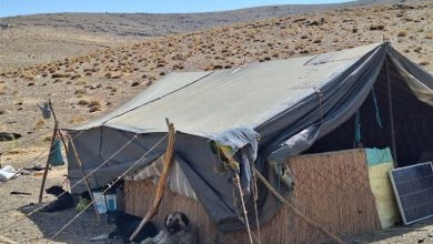 آمادهباش عشایر سمنان برای النینو؛ آب و علوفه تأمین میشود / اخبار سمنان - اخبار استانها