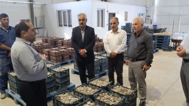 347 پروژه سامانه نوین آبیاری در کشور در حال اجراست / اخبار اردبیل - اخبار استانها