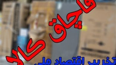 محموله 60 میلیارد ریالی قاچاق در محور شاهرود زمینگیر شد / اخبار سمنان - اخبار استانها